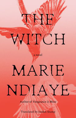 The Witch - A Novel