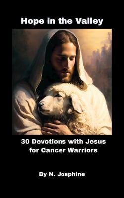 Hope in the Valley  30 Devotions with Jesus for Cancer Warriors