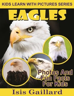 Eagles Photos and Fun Facts for Kids - Kids Learn With Pictures, #29