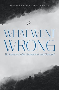What Went Wrong: My Journey to the Priesthood and Beyond