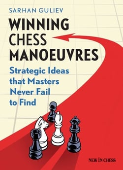 Winning Chess Manoeuvres - Strategic Ideas that Masters Never Fail to Find