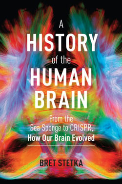 A History of the Human Brain - From the Sea Sponge to CRISPR, How Our Brain Evolved