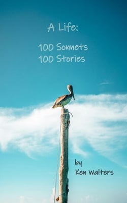 A Life: 100 Sonnets, 100 Stories