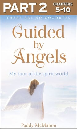 Guided By Angels: Part 2 of 3 - There Are No Goodbyes, My Tour of the Spirit World