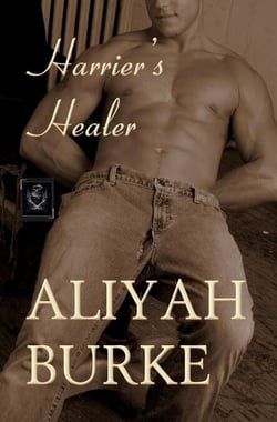 Harrier's Healer: A Steamy Friends to Lovers Military Romance - Megalodon Team, #2