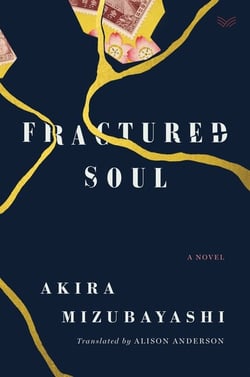 Fractured Soul - A Novel