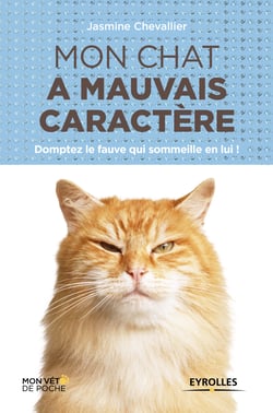Mon chat a mauvais caractère - Domptez le fauve qui sommeille en lui !