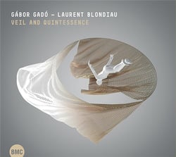 Veil and quintessence / Gábor Gadó & Laurent Blondiau