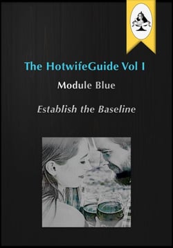 The HotwifeGuide Vol I  Module Blue Establish the Baseline - The HotwifeGuide, #1