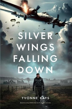 Silver Wings Falling Down
