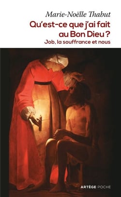 Qu'est-ce que j'ai fait au Bon Dieu ? - Job, la souffrance et nous
