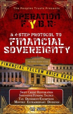 Operation F.Y.B.R. Financial Yellow Brick Road: A 4-Step Protocol To Financial Sovereignty - 1, #1