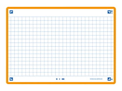 80 flashcards - 10,5 x 14,8 cm - Flash 2.0 Oxford - Petits carreaux - cadre orange