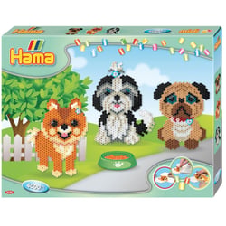 Midi boîte "le régal des chiens"