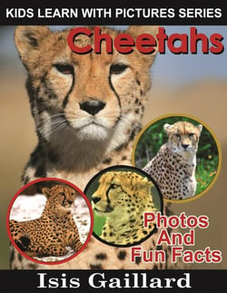 Cheetahs Photos and Fun Facts for Kids - Kids Learn With Pictures, #37
