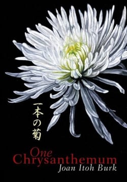 One Chrysanthemum