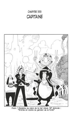 One Piece édition originale - Chapitre 333 - Capitaine