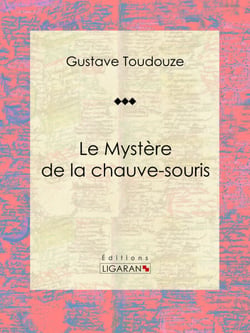 Le Mystère de la chauve-souris - Roman historique