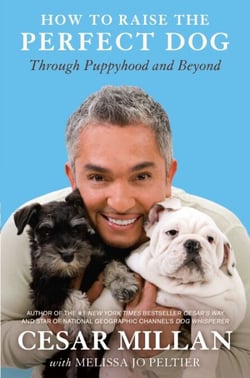 How to Raise the Perfect Dog - Through Puppyhood and Beyond