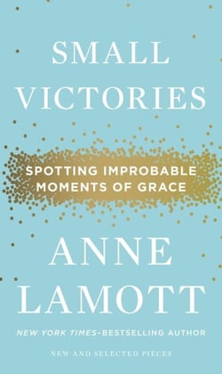 Small Victories - Spotting Improbable Moments of Grace