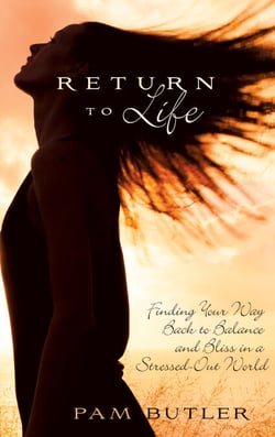 Return To Life - Finding Your Way Back to Balance and Bliss in a Stressed-Out World