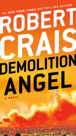 Demolition Angel - A Novel