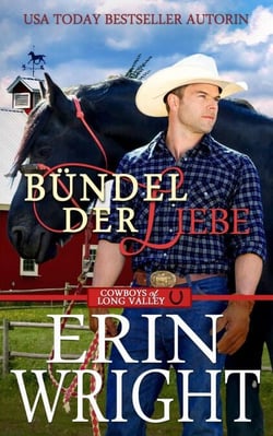 Bündel der Liebe: Der Einsame Cowboy - Cowboys von Long Valley Liebesroman, #7