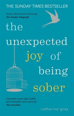 The Unexpected Joy of Being Sober - THE SUNDAY TIMES BESTSELLER