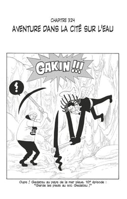 One Piece édition originale - Chapitre 324 - Aventure dans la cité sur l'eau