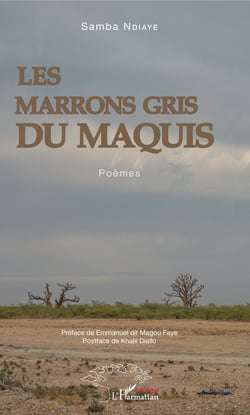 Les Marrons gris du maquis