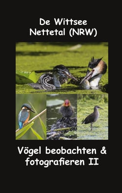 De Wittsee - Nettetal (NRW) - Vögel beobachten &amp; fotografieren II