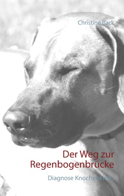 Der Weg zur Regenbogenbrücke - Diagnose Knochenkrebs