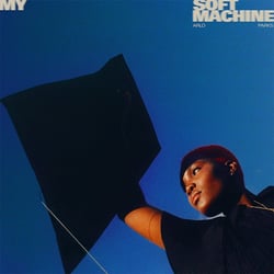 My soft machine
