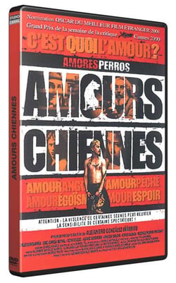 Amours chiennes
