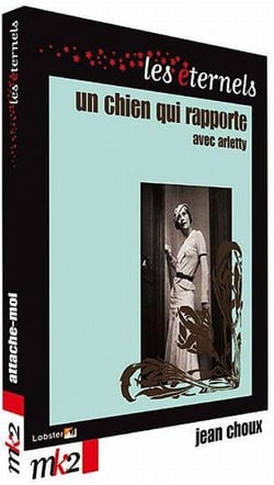 Un chien qui rapporte