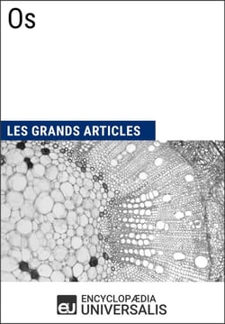 Os - Les Grands Articles d'Universalis