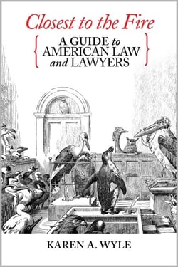 Closest to the Fire: A Guide to American Law and Lawyers