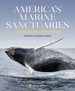 America's Marine Sanctuaries - A Photographic Exploration