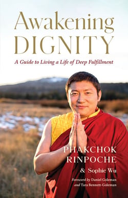 Awakening Dignity - A Guide to Living a Life of Deep Fulfillment