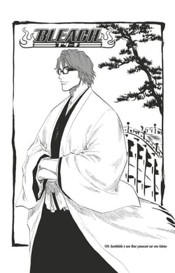 Bleach - T12 - Chapitre 100 - Semblable à une fleur poussant sur une falaise