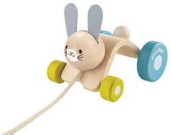 Lapin sautillant