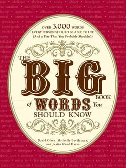 The Big Book of Words You Should Know - Over 3,000 Words Every Person Should be Able to Use (And a few that you probably shouldn't)