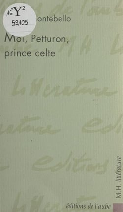 Moi, Petturon, prince celte - Roman