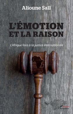 L'émotion et la raison - L'Afrique face à la justice internationale