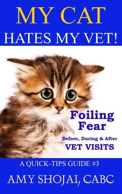 My Cat Hates My Vet! Foiling Fear Before, During &amp; After Vet Visits - Quick Tips Guide, #3