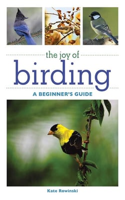 The Joy of Birding - A Beginner's Guide