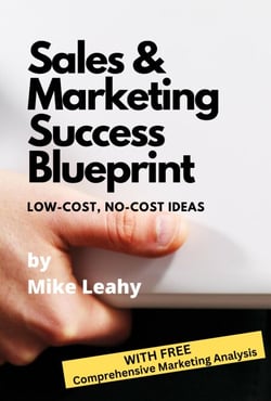 Sales and Marketing Success Blueprint: Low-cost, No-cost Ideas that Work