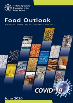 Food Outlook – Biannual Report on Global Food Markets: June 2020