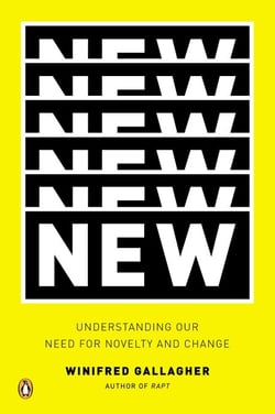 New - Understanding Our Need for Novelty and Change
