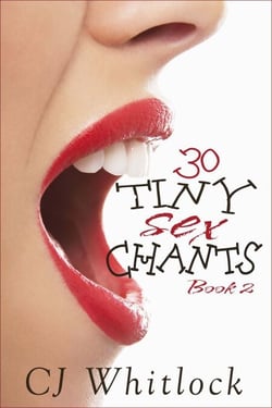 30 Tiny Sex Chants, Book 2